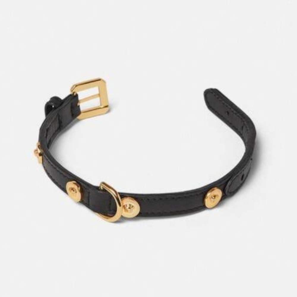 Versace dog collar and leash for large dog breed